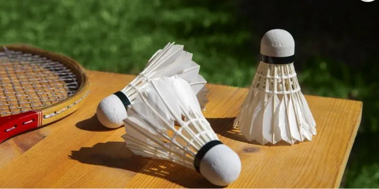 Cách Chơi Cá Cược Cầu Lông PK14 Trúng Kèo Chuỗi Dài Liên Tục 2 Cách Chơi Cá Cược Cầu Lông PK14 Trúng Kèo Chuỗi Dài Liên Tục