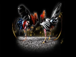 Cách Chơi Đá Gà Sabong Tại PK14 Thắng Lớn Mỗi Ngày Dễ Dàng