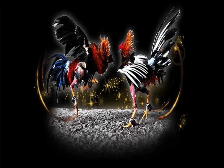 Cách Chơi Đá Gà Sabong Tại PK14 Thắng Lớn Mỗi Ngày Dễ Dàng 1 Cách Chơi Đá Gà Sabong Tại PK14 Thắng Lớn Mỗi Ngày Dễ Dàng