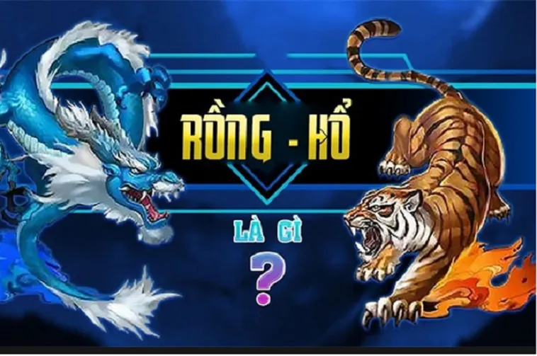 Trải Nghiệm Trò Chơi Dragon Tiger Tại PK14 Sôi Động Thưởng Cực Cao 2 Trải Nghiệm Trò Chơi Dragon Tiger Tại PK14 Sôi Động Thưởng Cực Cao